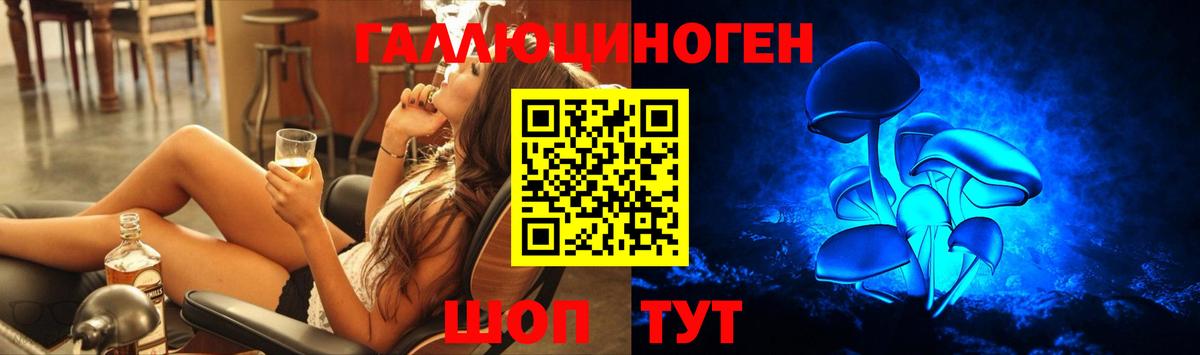 Дивногорск  Галлюциногенные грибы прущие грибы  Вход с VPN 